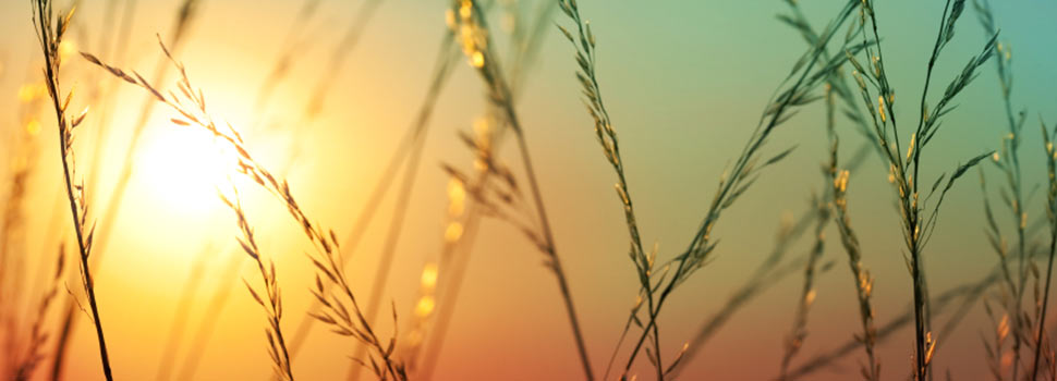 tramonto